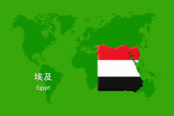 pr69 埃及发布(美通社发布) - 图片 1