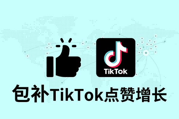 tk03 【包补】Tik Tok点赞增长-快速 - 图片 1