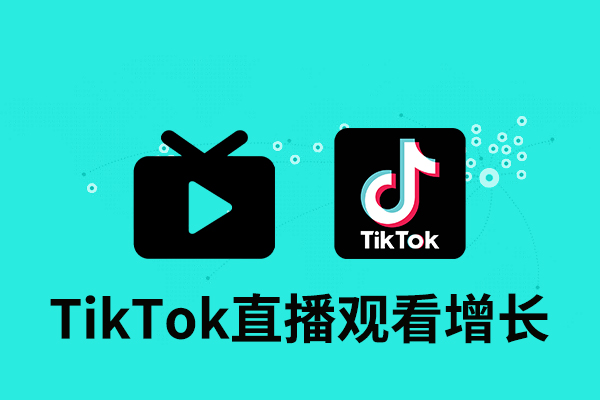 tk08 Tik Tok 直播观看增长-30分钟 - 图片 1